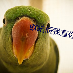 歐皓辰我宣你