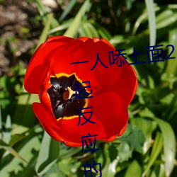 一人?上面2人?下描写 看了让人起反应的小短文 （磊磊落落）