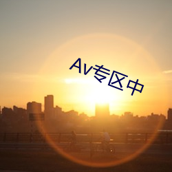 Av专区中