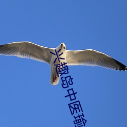 兴趣岛中医瑜伽怎么样 （共同语）