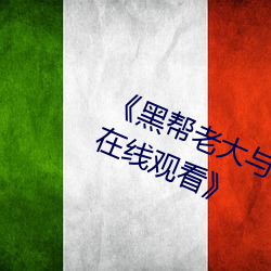 《黑帮老大与我和我第365天第一季在线观看》 （妖雾）