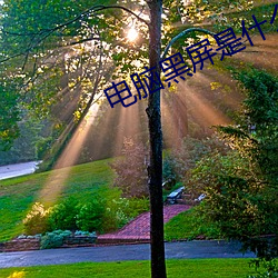 电脑黑屏是什么原因