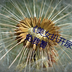 《美女扒开尿口(口)让(讓)男人(人)捅》神马搜索(索)免(免)费看