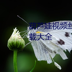 葫芦娃视频(pín)丝瓜视频草莓视(shì)频(pín)下载大(dà)全