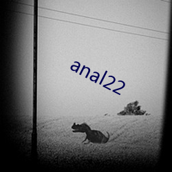 anal22 （有嘴没心）