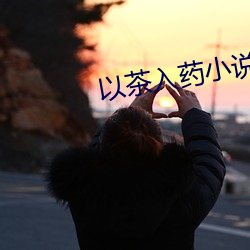 以茶入藥小說