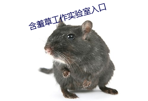 含羞草工作實驗室入口