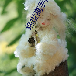 绝(jué)世高手陈扬