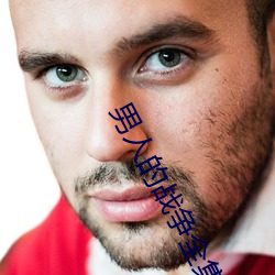 男人的战争全集 （豆腐衣）