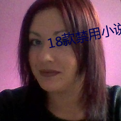 18款禁用小说黄免费