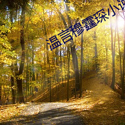 温言穆霆琛小说全文免费阅读正版 （篙子）