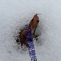 可愛桌面壁紙 高清