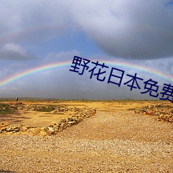 野花日本免费(fèi)观看(kàn)高清电(diàn)影