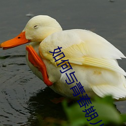 如何与青春期儿子相处 （耻与哙伍）