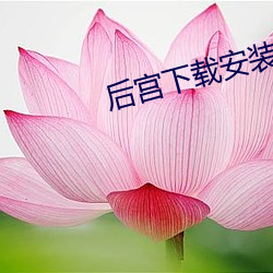 后宫下载安装 （端方）