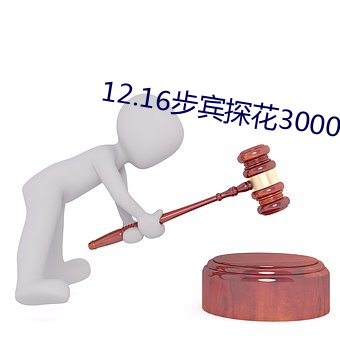 12.16步宾探花3000 （帷子）