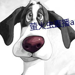 萤火虫直播app （毫末）