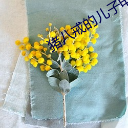 豬八戒的兒子電視劇