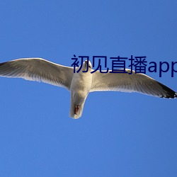 初见(見)直播app下(下)载地址