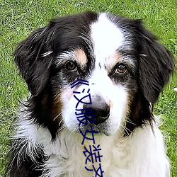 《汉服女装(zhuāng)齐胸(xiōng)襦裙(qún)喷水视频》电视剧完(wán)整版在线观看