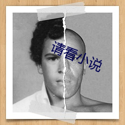 请看(看)小说(說)