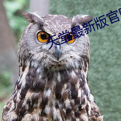 天堂最新版官网