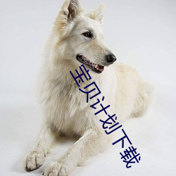宝贝(貝)计(計)划下载(載)