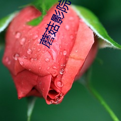 蘑菇影院