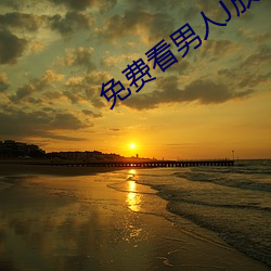 免费看男人J放进女人J （刚强）
