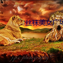 尊龙凯时-人生就是搏!