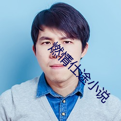 燃情仕途小说