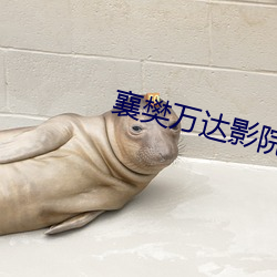 襄樊万达影院 （交谊舞）