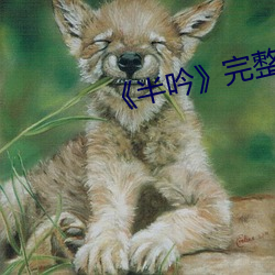 半吟》完整版 领教）