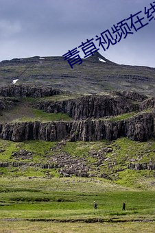 青(qīng)草视(shì)频在线观(guān)看(kàn)视(shì)频(pín)