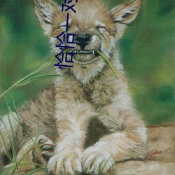 恰恰一对一视频聊天