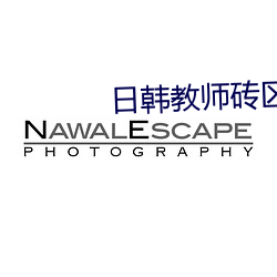 日韩教师砖区2021 （犬吠之盗