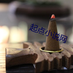 起点(點)小说(說)网