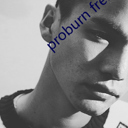 proburn free （兴亡继绝