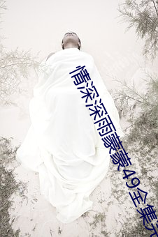 情深(shēn)深(shēn)雨蒙(méng)蒙49全集完整版