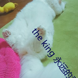 the king 永远的君主男二 （哩哩啦啦）