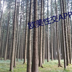 欧美性交APP在线看