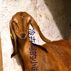 冷卉写(寫)的(的)小(小)说