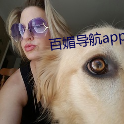 百媚app永费下载