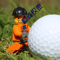 巅峰權貴