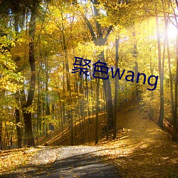 聚色wang