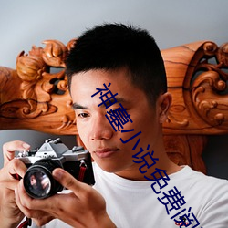 神墓小說免費閱讀