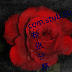 com.stub.StubApp.apk 码农(農)集(集)市(市)专业分享IT编程学习资源