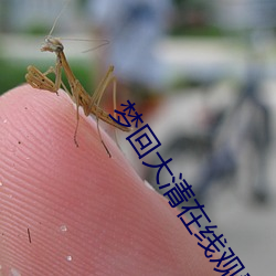 夢回大清在線觀看免費觀看
