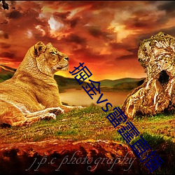 掘金vs雷霆直播