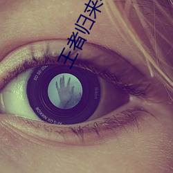 王者归来小说洛(luò)天